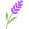 Lavndr Logo